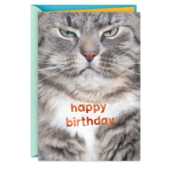 Hallmark Grouchy Cat Funny Birthday Card